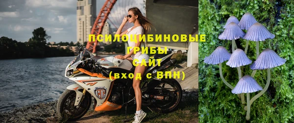 крисы Ростов