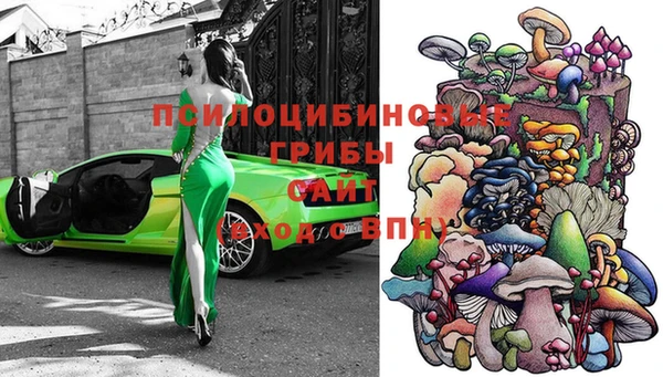 крисы Ростов