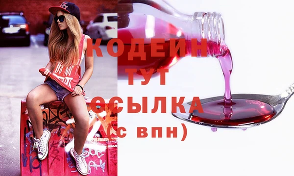 крисы Ростов