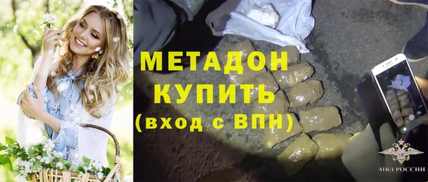 крисы Ростов