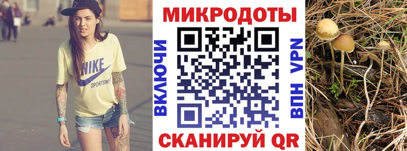 Псилоцибиновые грибы мухоморы  Купить закладки  Окуловка 